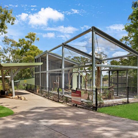 Eagle Enclosure Rockhampton Zoo